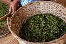 Farm Fresh Black Pepper - Premium _ 200 gm